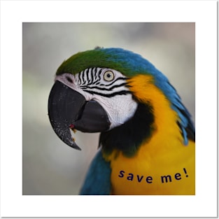 save me! Posters and Art